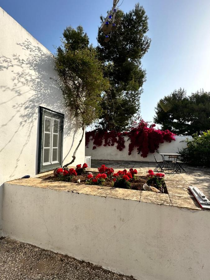 Penzion Two Olive Trees Spétses Exteriér fotografie